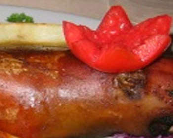 guinea pig