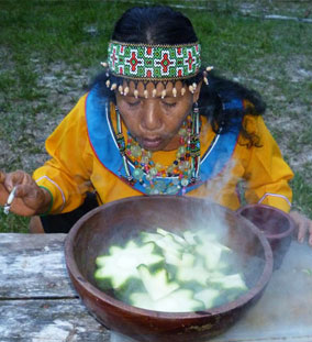 ayahuasca retreat and visit to Machu Picchu